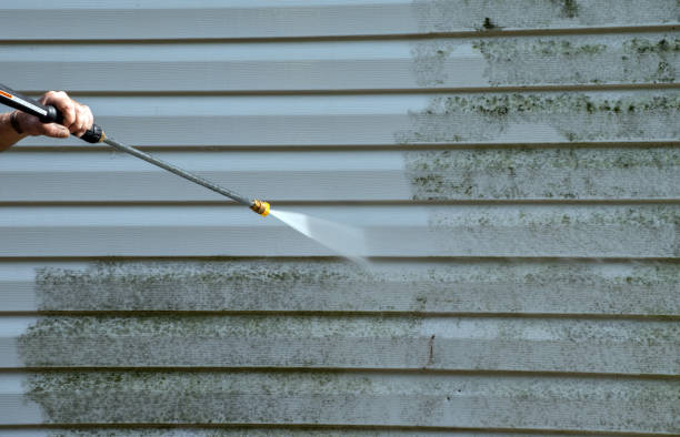 Best Eco-Friendly Pressure Washing in Pelican Marsh, FL